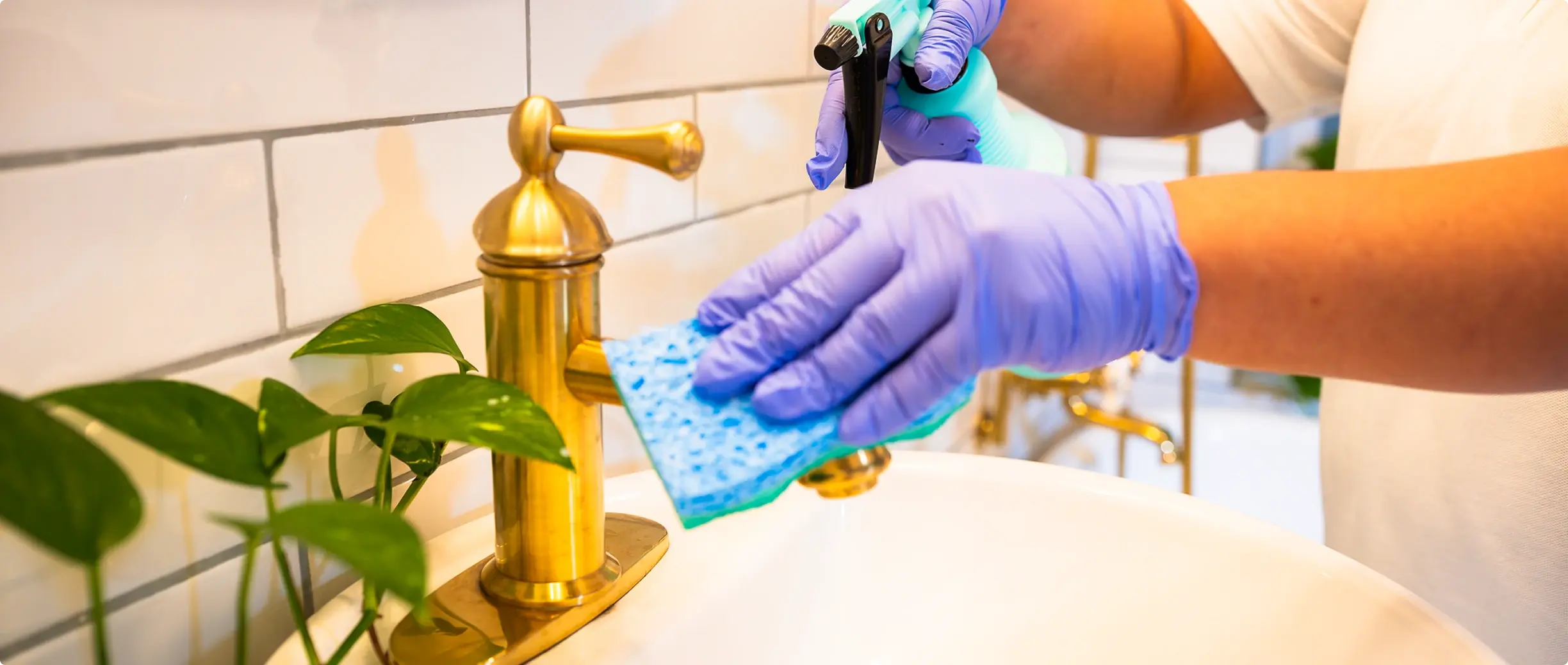 Professional cleaner wearing blue gloves wiping a gold bathroom faucet with a blue cloth next to a green plant