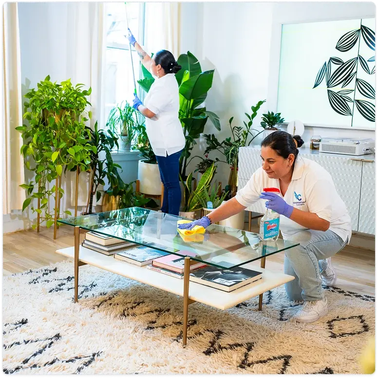 Two professional cleaners working in a bright living room: one dusting a table, the other wiping a window